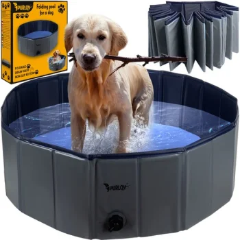 Purlov Foldable Dog Pool 100x30 cm, Blue/Grey