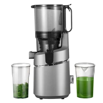 Amzchef SJ-036-GA Slow Juicer, Gray