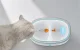Rojeco RYSJ-13 Smart Pet Water Fountain, 2.5L
