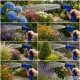 Expandable Garden Hose with Spray Gun, 20-60m, Blue