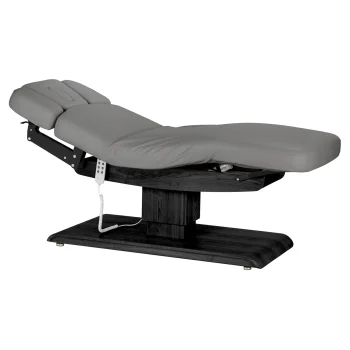 Electric SPA Treatment Bed Sillon Relax, Grey with Dark Wood Base