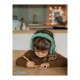 Kids Noise-Cancelling Earmuffs Kidywolf Kidynoise Green