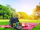 Thermal Picnic and Shopping Bag, 33x33x24 cm