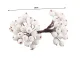 Frosted White Rowan Berries for Christmas Decoration, 5 pcs
