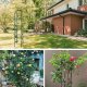Column Pergola for Garden and Home