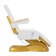 Electric Cosmetic Chair Sillon Lux 273B 3 Motors Gold White