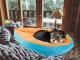 Soft plush bed for dogs and cats, leaf shape