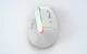 Wireless Vertical Mouse Delux M618C 2.4G 1600DPI RGB (white)