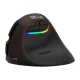 Delux M618 Mini Wireless Ergonomic Mouse