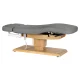 Electric SPA Treatment Bed Sillon Relax, Grey with Light Wood Base
