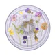 Popsockets PlantCore Grip Purple Fields Phone Holder and Stand - Clear