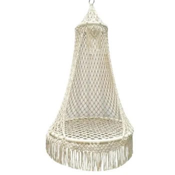 Carruzzo Queen Woven Hanging Chair with Canopy