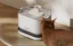 Petlibro Dockstream Wireless Cat Water Fountain 2.5L 5200mAh
