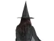 Witch Hat for Halloween Costume Accessory, Black