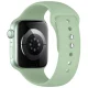 Tech-Protect Silicone Strap for Apple Watch 40/41/42 mm, Light Green