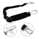 Elastic Dog Car Seat Belt, Black