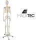 Анатомическая модель скелета человека 170 см, на подставке | Anatomical...