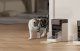 Petlibro RFID Smart Food Dispenser with Collar 3L - Automatic Feeder