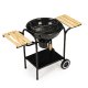 MultiGarden Charcoal Garden Grill with Lid and Shelves, 40 cm