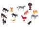 Educational Different Animals 48 pcs