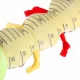 Interactive Sensory Toy for Infants - Musical Plush Caterpillar