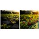 Plonos Heavy Duty Weed Barrier Fabric 1.6x100m 90gsm with 100 Stakes, Black Green