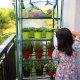 Portable Mini Greenhouse Warm House for Indoor Outdoors with 4-Tier Shelf for Garden/Patio/Backyard (69 x 49 x 160 cm)
