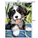 Maaleo Paint by Numbers 40x30 cm, Dog