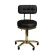 Cosmetic Stool Gold AM-961 Black