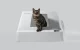 Litter Box Cover Petkit Front Entry Hood for Purobot Crystal Duo