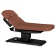Electric SPA Treatment Bed Sillon Relax, Brown with Dark Wood Base