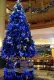 Christmas LED Fairy Lights 9.5 M 100 diodes - blue