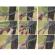 Colorful Garden Hammock 190x150 см