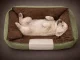 Green Pet Bed for Dogs or Cats (Size S, 60x40 cm)