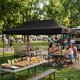 Automatic Pop-Up Event Gazebo MultiGarden 3x6m, Black