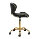 Gabbiano Q-4599G Beauty Stool with Backrest, Black