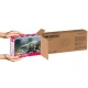 Kruzzel Dinosaur Excavation Kit, 12 Dinosaurs