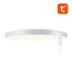 Gosund LB11 Smart Ceiling Lamp 32cm WiFi/Bluetooth RGBCW 1920lm with Remote