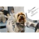 Pethaus PH-100 Pet Hair Clipper, Pink