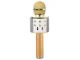 Wireless Karaoke Microphone with Bluetooth Speaker, Echo, and Voice Changer