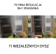 10m Water Mist Curtain with 11 Nozzles, Adjustable Spray, Black