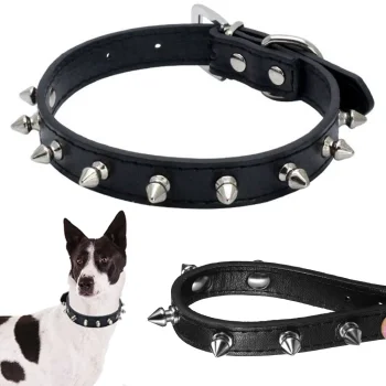 Adjustable Dog Collar with Studs, Faux Leather, Size M