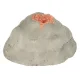 Educational Science Experiment Kit - Volcano and Dinosaur