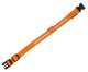 LED Glowing Collar for Dogs and Cats, Size S, Orange