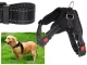 Durable Dog Harness with Handle and Reflectors, Size L