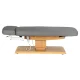 Electric SPA Treatment Bed Sillon Relax, Grey with Light Wood Base