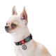 Waudog Nylon Dog collar with QR code size L, NASA