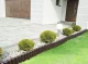 Decorative Garden Border Fencing 150x270 mm, 8 pcs (2.2 m), Brown