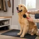 Double-Sided Brush for Dog and Cat Hair
