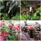 Universal 25m Garden Irrigation Set with Controller